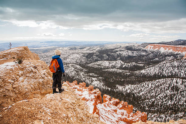 istock Hiker looking at snowy canyon view 513581526