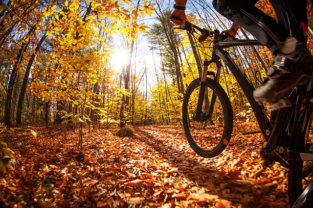 istock Mountain biker at speed on a trail through the woods. 513582720