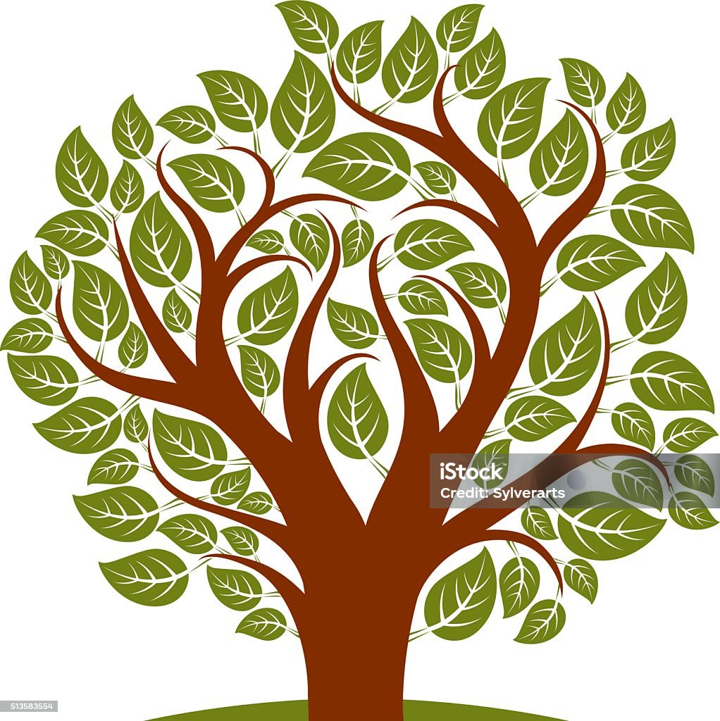 Spring Tree Image Branches Display Vector Illustration Of Spring Tree With Branches Stock Illustration ...