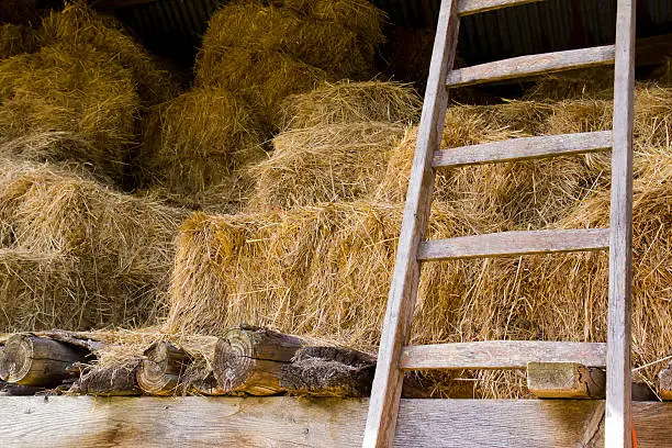 Close-up of an old (hay)barn