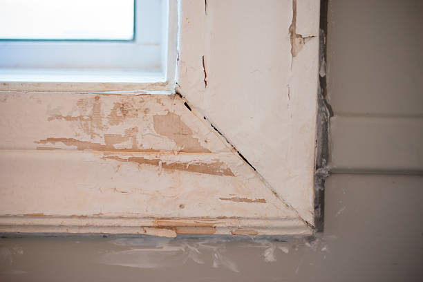 istock Corner of window 513585856