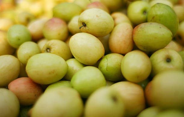 Ripe Jujube Ripe Bangladeshi jujubes fruits in big amount. jujube fruit stock pictures, royalty-free photos & images