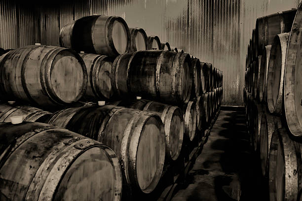 Wine barrels in sepia toner