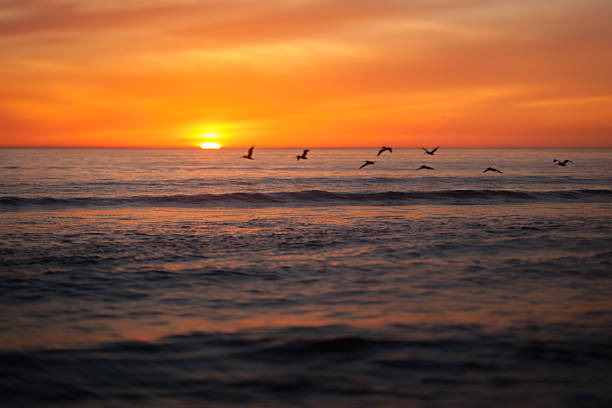 istock Abstract toned image of ocean and sunset 513590862