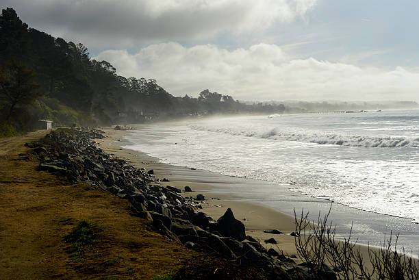 istock New Brighton State Beach and Campground, Capitola, California 513591052