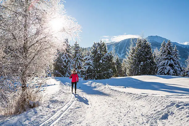 Attractive young woman cross country skiing  with snowy trees and blu sky in background.