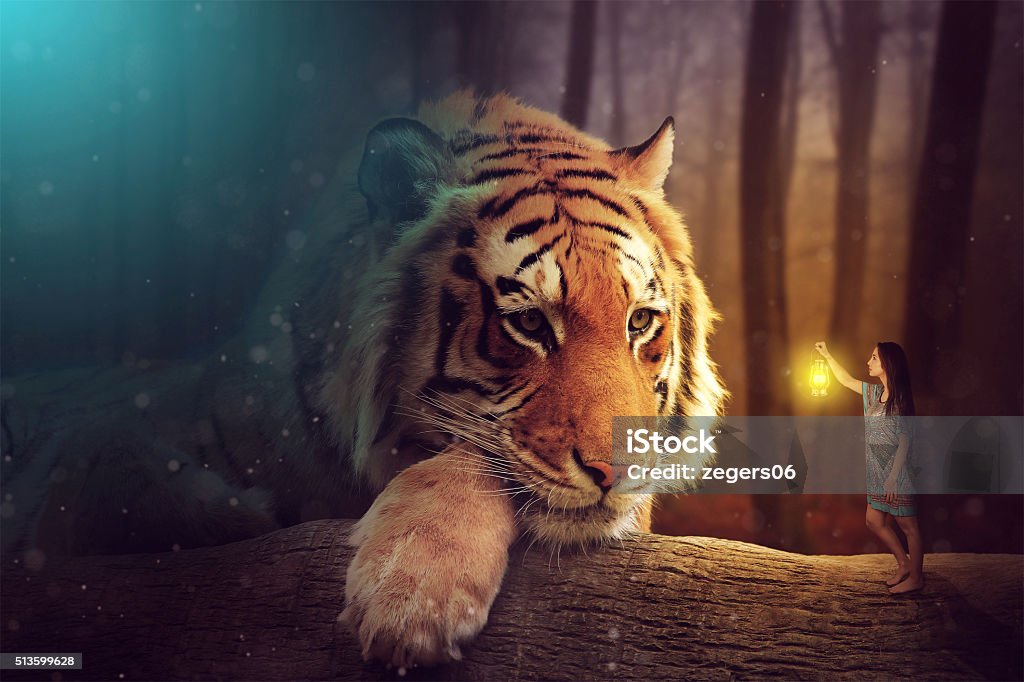 Fantasy world - a woman and a giant tiger young woman near a giant tiger in a forest Fantasy Stock Photo