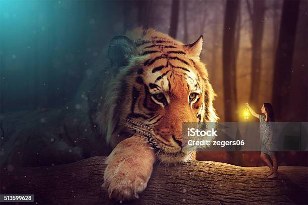 Fantasy World A Woman And A Giant Tiger Stock Photo - Download Image Now - Fantasy, Tiger, Women