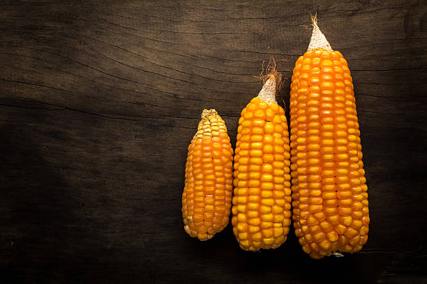 istock Yellow dried corn on wooden table. 513599848