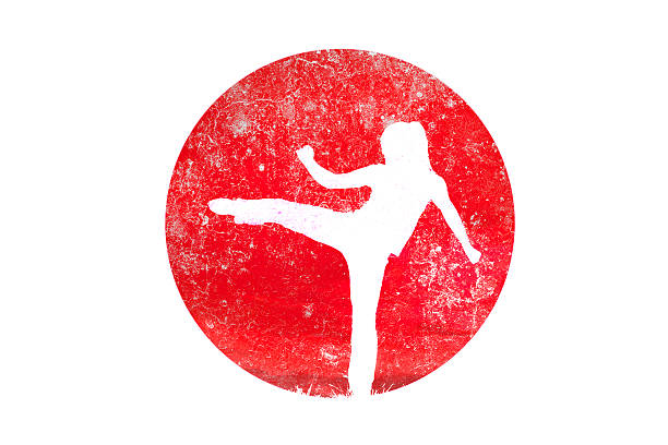 ilustrações, clipart, desenhos animados e ícones de artes marciais - high kick illustrations