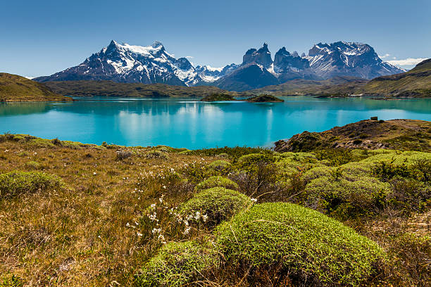 istock National Park Torres del Paine, Chile. 513600712