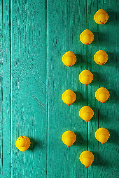 istock Rubber ducks on an old wooden background. 513601988