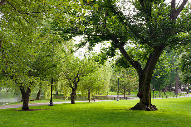 istock Public Garden in Boston, MA 513602083