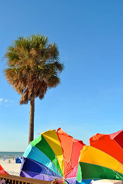 istock Umbrellas on Clearwater Beach in Florida 513602816