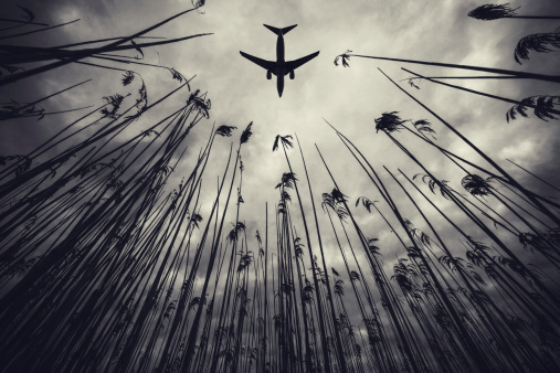 A passenger jet flies above a marsh under ominous skies.  Toned black and white.
