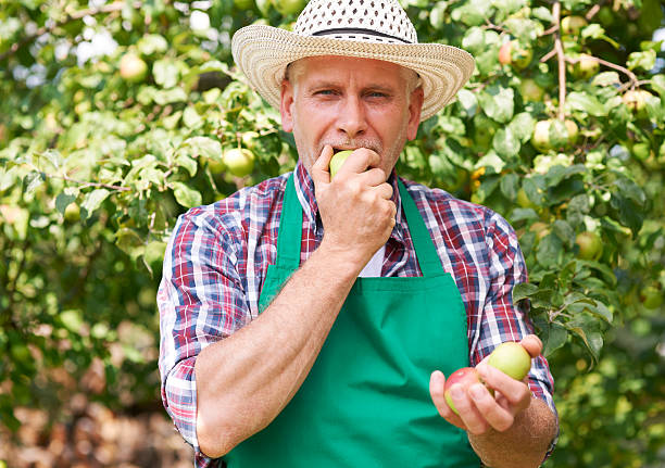 istock Nothing taste better than apple from our own garden 513603523