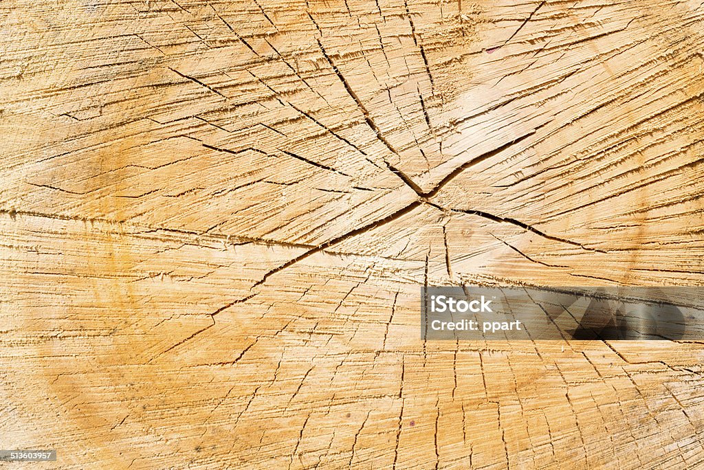 Piled tree trunk Piled tree trunk close up. Aging Process Stock Photo