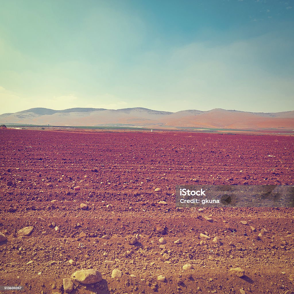 Stony Field Poor Stony Soil after the Harvest in Israel, Retro Effect Agricultural Field Stock Photo