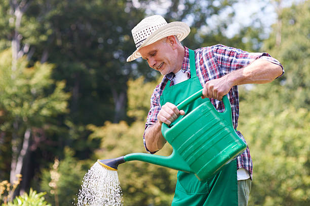 istock Water is life for my plants 513604095
