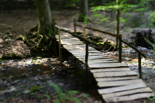 wooden bridge, forest, creek, stream