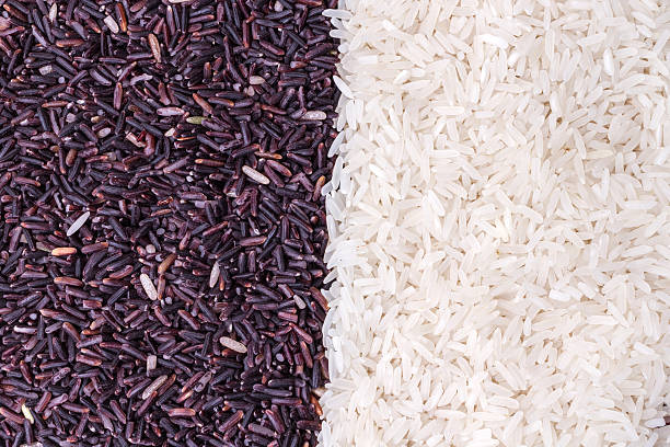istock row of rice berry and jasmine rice grains 513624686