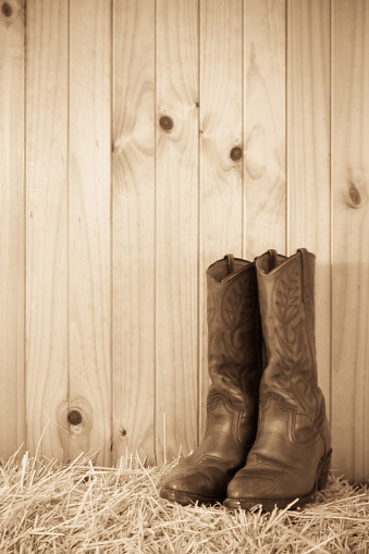 Western style cowboy / cowgirl boots on hay with timber background and copy space
