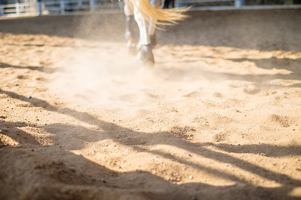 istock horses running through a dusty field 513627206