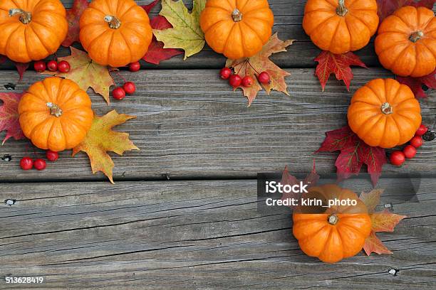 Autumn Background Stock Photo - Download Image Now - Autumn, Berry, Berry Fruit