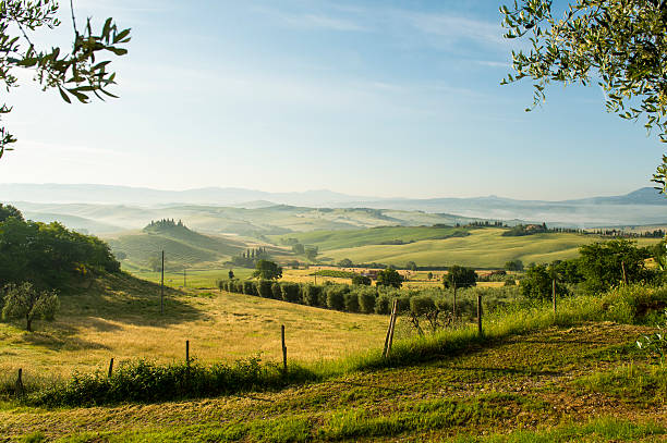 natural, toscana italia - hill dusk sunset heat haze fotografías e imágenes de stock