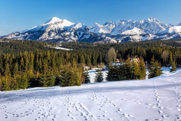 istock Winter High Tatra Mountains landscape 513629758