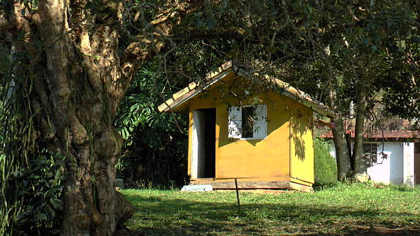 istock House in the woods. 513630523