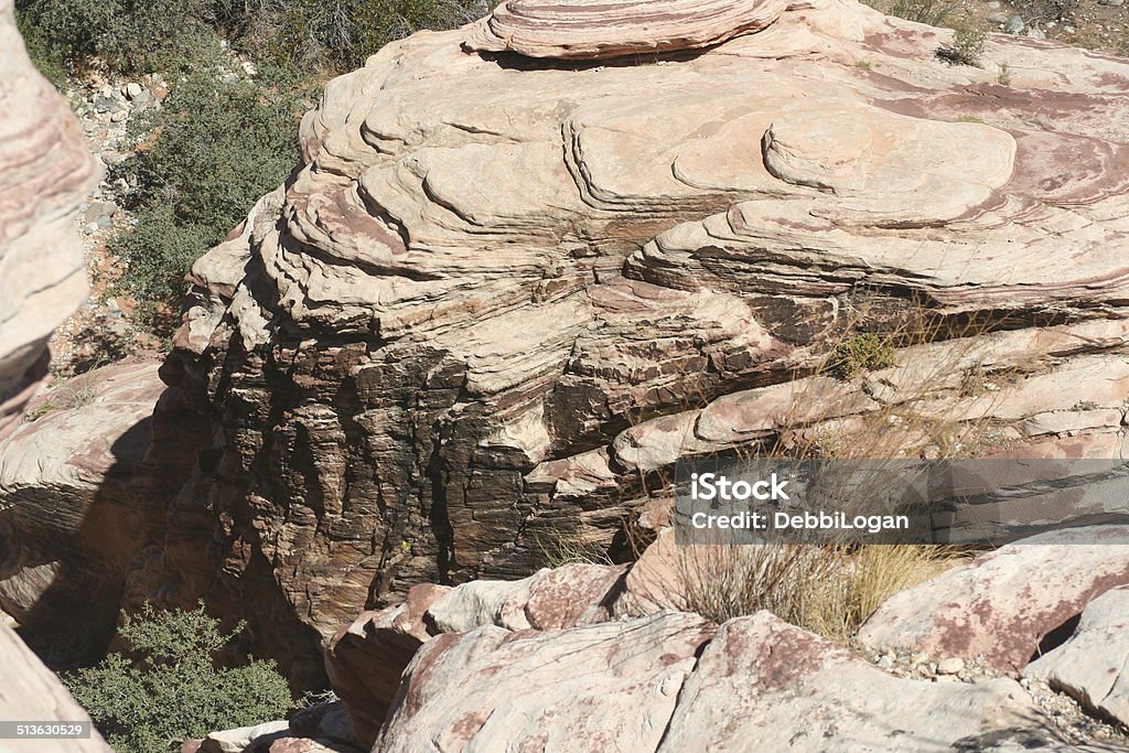 Red Rock Canyon Nevada Close up view of rock formation located in Red Rock Canyon Las Vegas Nevada Animal Stock Photo