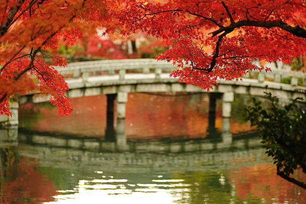 eikan temple à kyoto, japon - japanese maple leaf water japan photos et images de collection