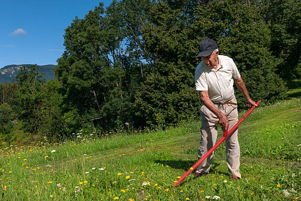 istock Senior Man with Scythe, Europe 513631267