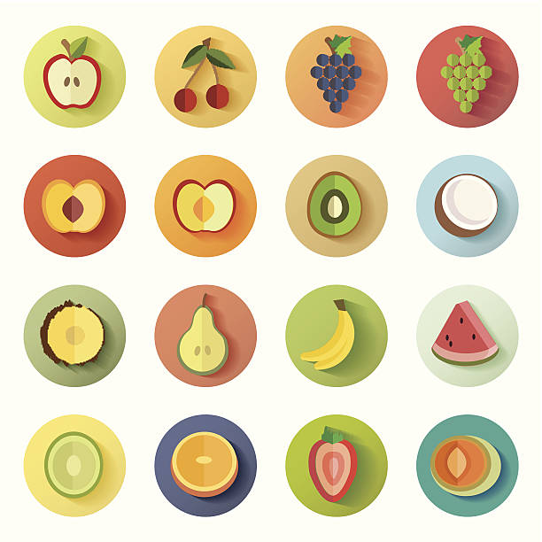 ilustrações de stock, clip art, desenhos animados e ícones de tudo em um colorido ícone definir coleção de frutas - freshness food serving size kiwi