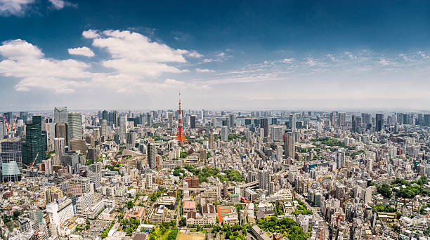 istock Tokyo Panorama, Japan. 513632940