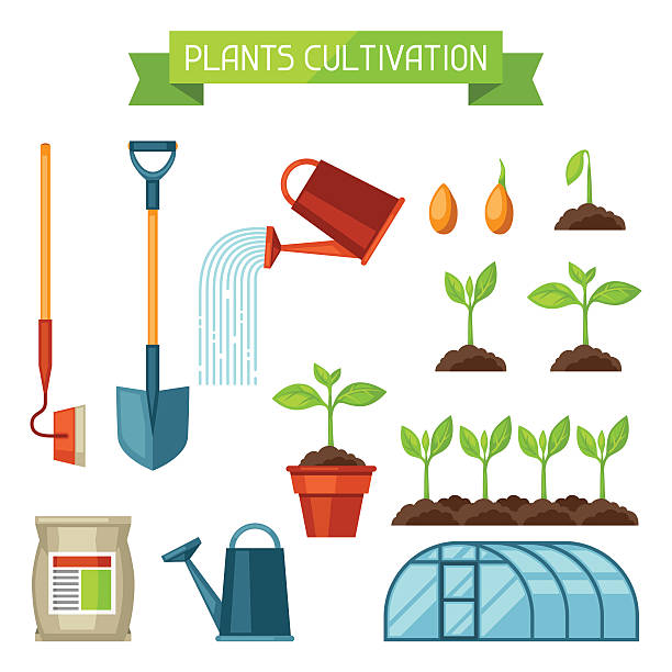 ilustrações de stock, clip art, desenhos animados e ícones de conjunto de agricultura objectos. instrumentos para o cultivo de plantas plântulas processo - greenhouse