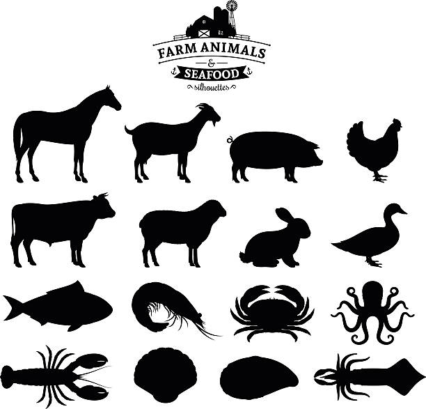 ilustrações, clipart, desenhos animados e ícones de vetor de animais de fazenda e coleção de silhuetas de frutos do mar - chicken fish beef pig