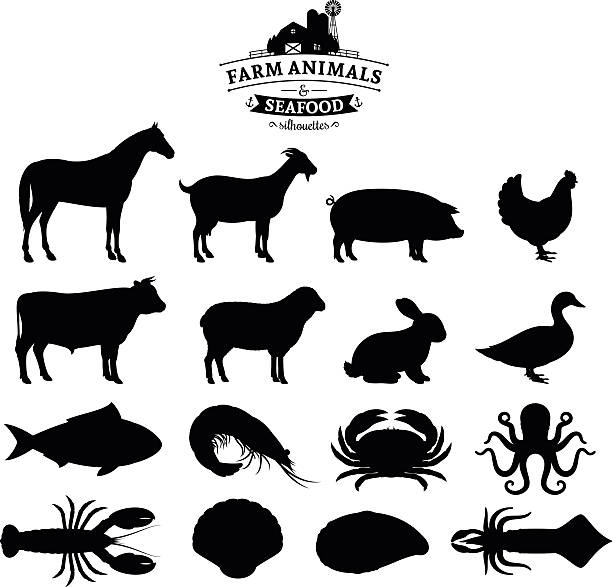 Vector Farm Animals and Seafood Silhouettes Collection Vector farm animals and seafood silhouettes isolated on white. Livestock, poultry and seafood icons collection for groceries, meat stores and seafood shop meat silhouettes stock illustrations