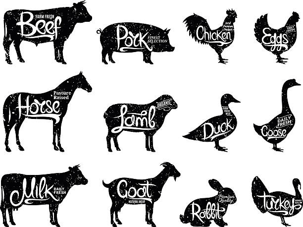 농장 동물은 실루엣 컬레션. 도살 라벨 템플릿 - goat animal black domestic animals stock illustrations