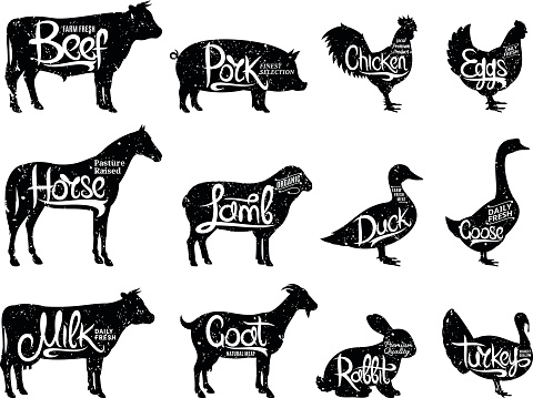 Set of butchery labels. Farm animals with sample text. Retro styled farm animals silhouettes collection for groceries, meat stores, packaging and advertising.