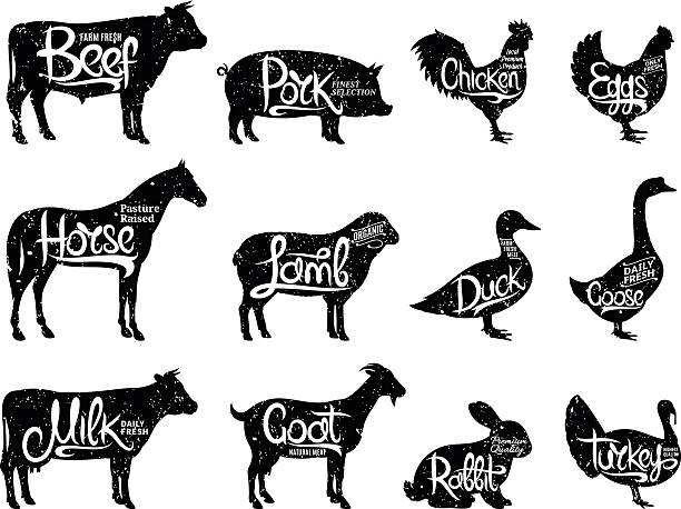 Farm Animals Silhouettes Collection. Butchery Labels Templates Set of butchery labels. Farm animals with sample text. Retro styled farm animals silhouettes collection for groceries, meat stores, packaging and advertising. pig silhouettes stock illustrations