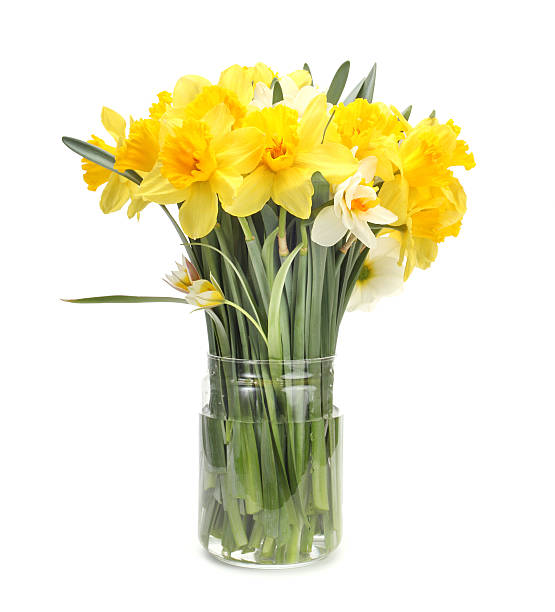 narcissus フラワーブーケ - daffodil flower yellow vase ストックフォトと画像