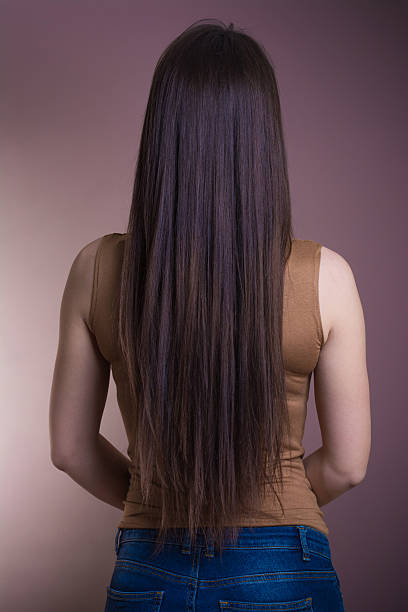 istock Female long brown hair 513633528