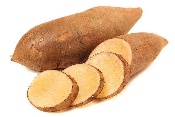 istock Yacon fruit herb healthy medicine salutary 513635922