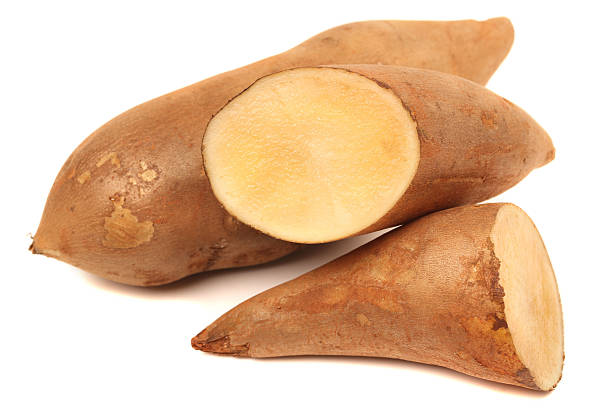 istock Yacon fruit herb healthy medicine salutary 513635976