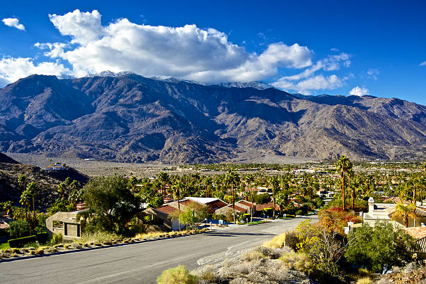 San Jacinto Mountains and Palm Springs Streetscape, Southern California, USA Mid-Century Modern architectural style homes and California Fan Palm Trees are seen with a backdrop of snow covering the tops of the San Jacinto Mountains in this afternoon street and landscape view. Palm Springs, California, Coachella Valley, Riverside County, Southern California, Western USA. fan palm tree photos stock pictures, royalty-free photos & images