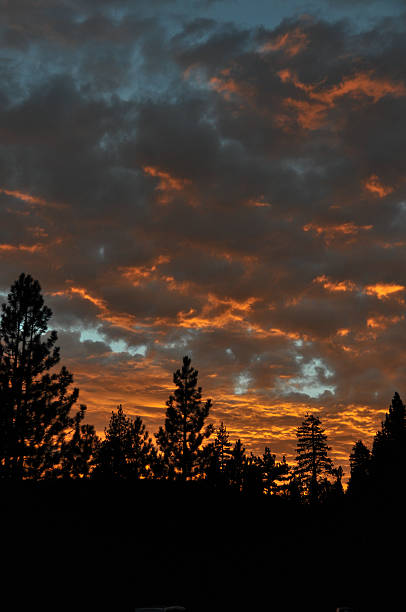 istock Sunset on the trees, Lake Tahoe 513638948