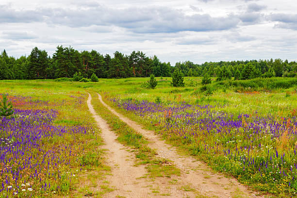 istock dirt road in the field 513641042