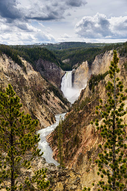 istock Grand Canyon of Yellowstone 513641886